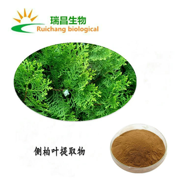 侧柏叶提取物价格 植物提取物 水溶侧柏叶浸膏粉 现货 厂家含运费