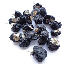 x Ʒڹ轟os| ̳aغڹԴ^Sl