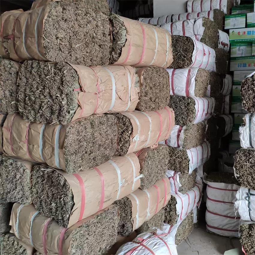 Лист Zongzi Оптовая продажа Происхождение Zongye Источник в наличии Свежие листья Dendrocalamus japonicus Сушеные товары Лист бабы Тростниковый лист