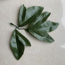 批发丝网花单片牡丹叶 3片绢花大牡丹花仿真叶子 DIY手工花配叶