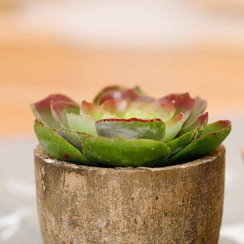 Planta verde artificial planta suculenta maceta Venta caliente transfronteriza fábrica de comercio electrónico al por mayor decoración del hogar mini adornos