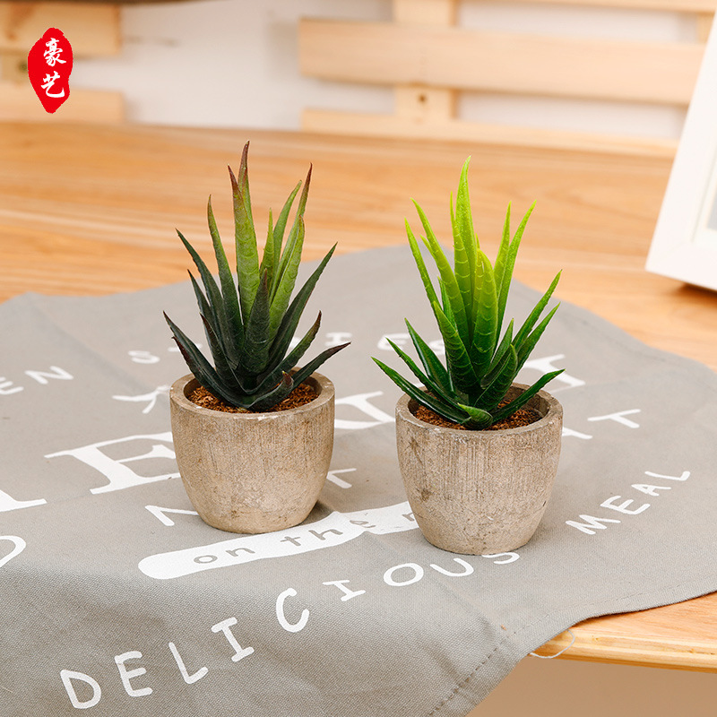 Simulated Succulents Potted Aloe Vera Green Plants Home Office Personalized Small Ornaments Bonsai Grass Decoration E-Commerce