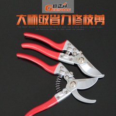 Jusheng V8 White Flower Pruning Shears, Flower Art Scissors, Pruning Shears for Flower Arrangement, Home Garden Multi-purpose Grass and Flower Scissors