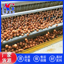 ���^����ëˢ��ϴ�C ������ϴ�C U��ë݁��ϴ�C ������ϴ����