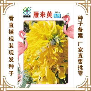 ���������N�繫˾ֱ��������طNֲ���ܷN�� ����S186̖