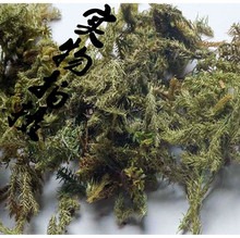 ���l������ș��������������ٴ������ԡ��ԭ��һ��؛Դ