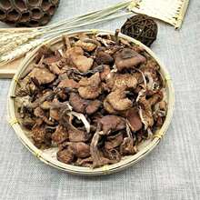 批发榛蘑500g 无根价格实惠 小鸡炖蘑菇 一件批发 直供干货榛蘑菇