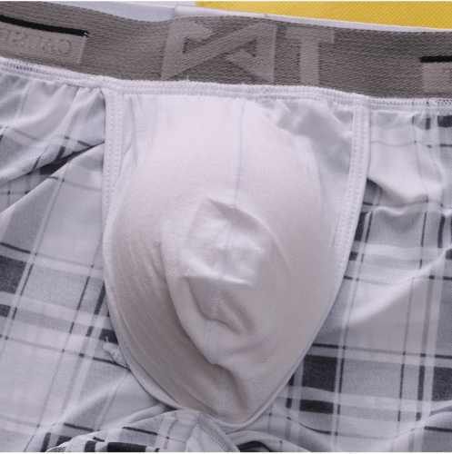 Zhongshan underwear men's Arrow pants plaid simple ice silk men's loose boxer briefs home men's shorts