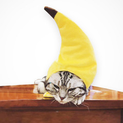 New Amazon Pet Hat, Creative Transformation into a Funny Teddy Cat Festival Costumes, Banana Head Cover
