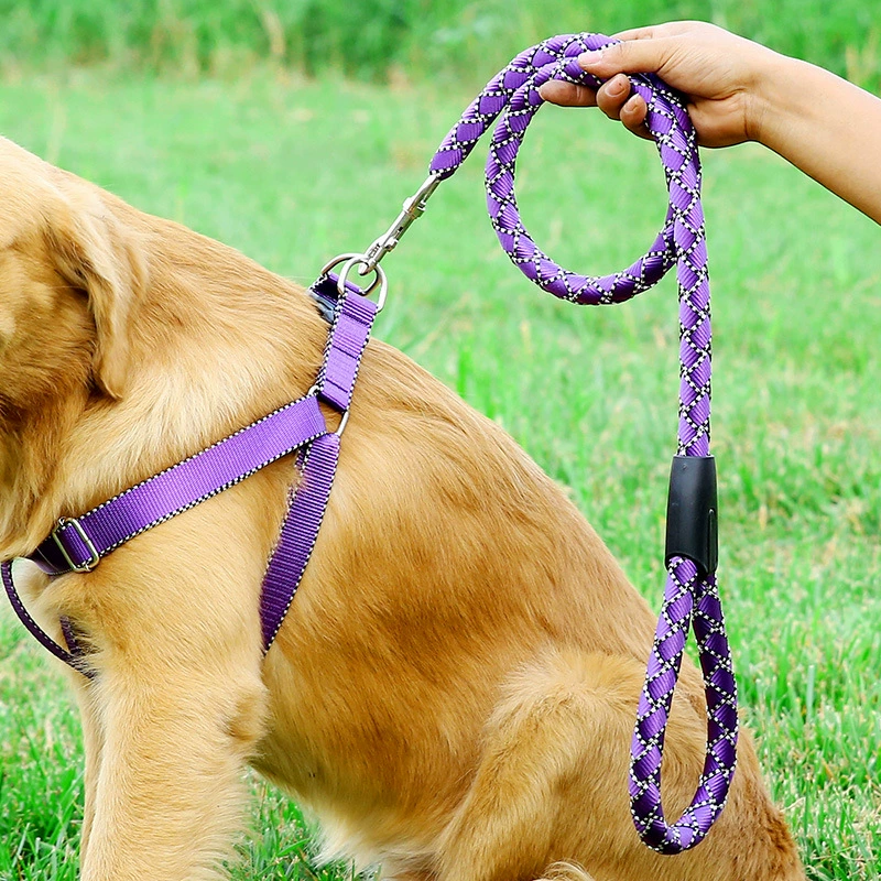 Ошейник-шлейка для собак, поводок для выгула, оптовая продажа, в наличии, ударопрочный и износостойкий