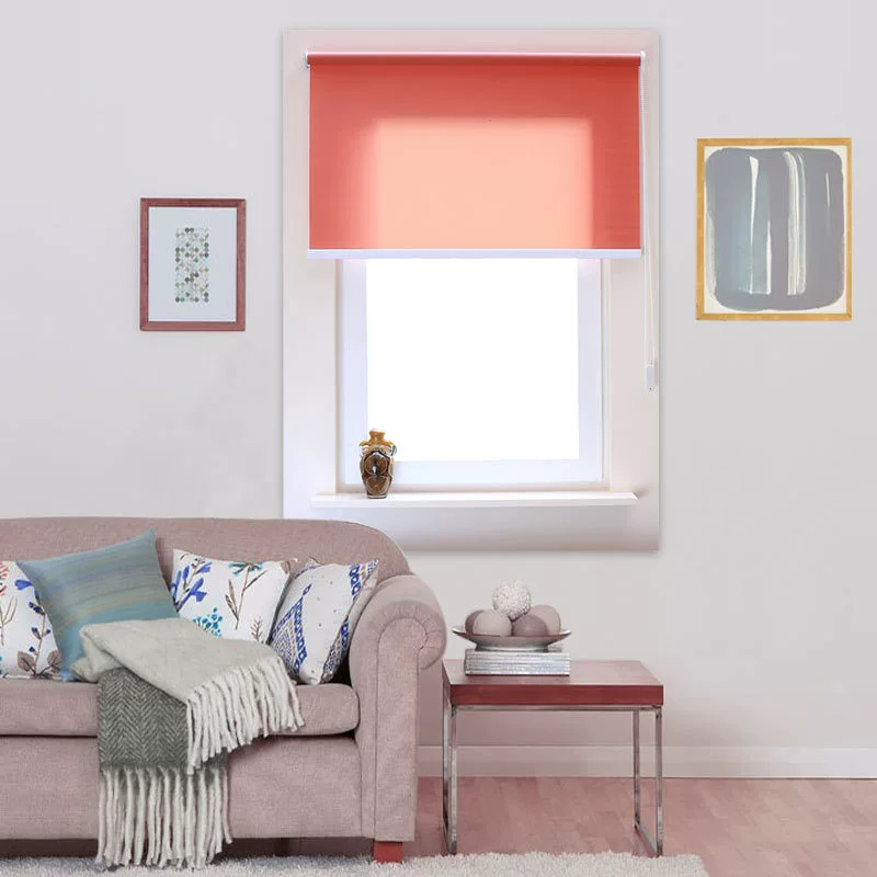 Supply La Zhu Rolling Trip 25 Light -transmitting Crowth Exit Rolling Drip Home Curtain