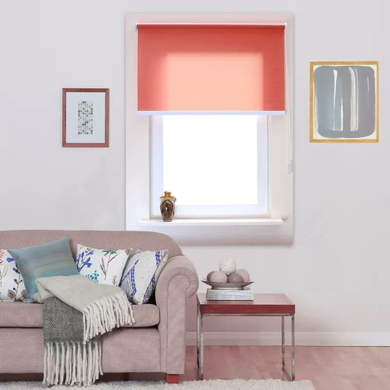 Supply La Zhu Rolling Trip 25 Light -transmitting Crowth Exit Rolling Drip Home Curtain