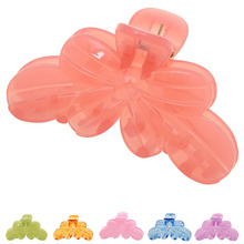 ����͸������ɫ8.5cm����ץ�� Ůʿϴ������������̷��������