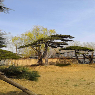 ���س������l�������� ���NͥԺ��˾�G���þ��^�� ���ͺ��� ����