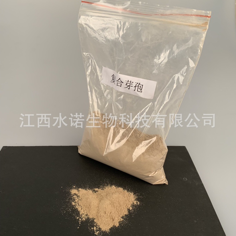 枯草芽孢杆菌厂家菌种分解有机质净水景观湖鱼塘水质处理污水处理