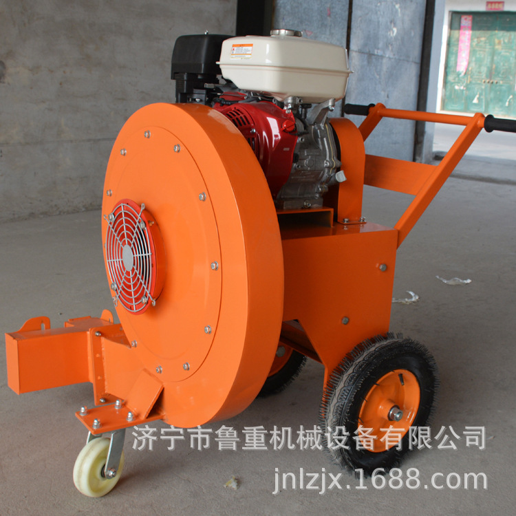 厂家生产汽油吹风机 路面吹风机 庭院体育场吹风机认购金