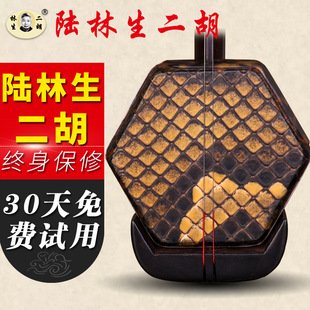 ������������ǱR�Ϻ��S̴ľ����Ѫ̴ľ�������~��̴����