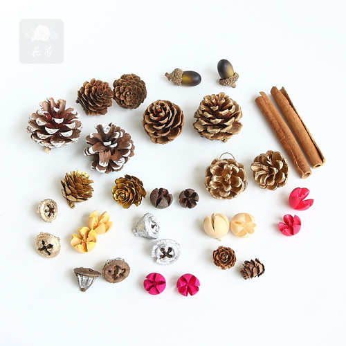 Everlasting float hanging garland making materials various dried fruits whitewashed pine cones Christmas decorations shooting props