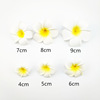 Factory spot Multi -specification Egg flower head jewelry hair clip folding egg flower Hawaiian bride headdress swimsuit accessories