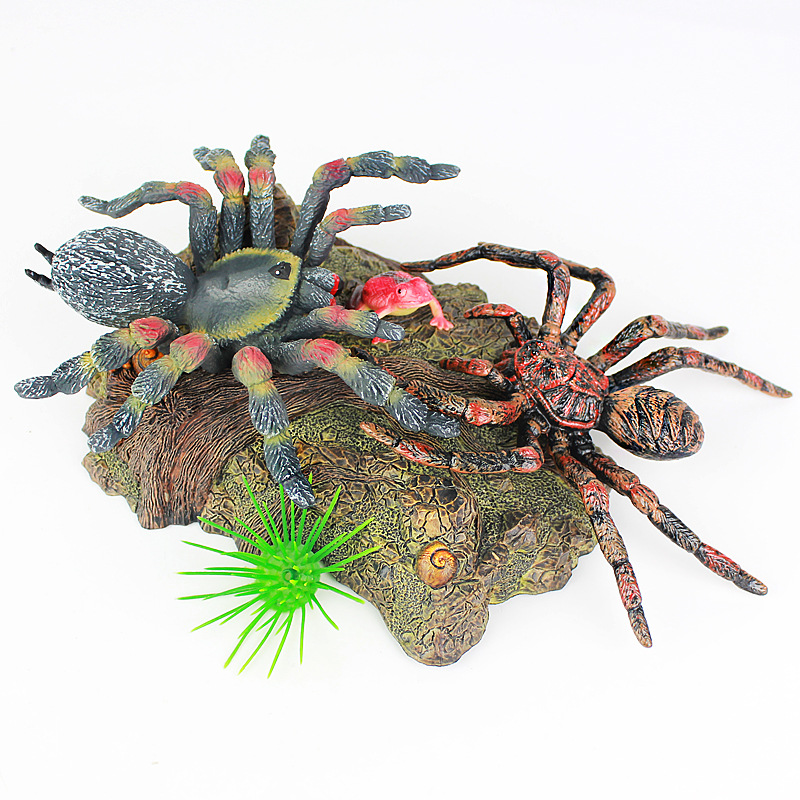 跨境仿真昆虫模型爬行动物大蜘蛛塑料实心儿童认知科教教育玩具