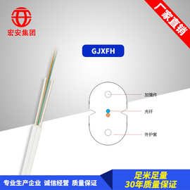 2芯单模G652D光纤2芯防火阻燃皮线光纤 GJXFH 2B1.3