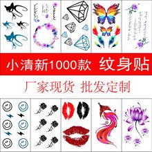 yNС¿ͨĸӢõ廨yüĴyN