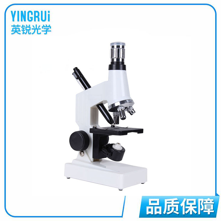 厂家直销1200倍学生儿童体式双灯显微镜套装 便携纤维显微镜批发