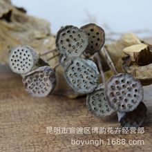 【小莲蓬】 禅意艺术家居装饰 拍摄道具干花批发