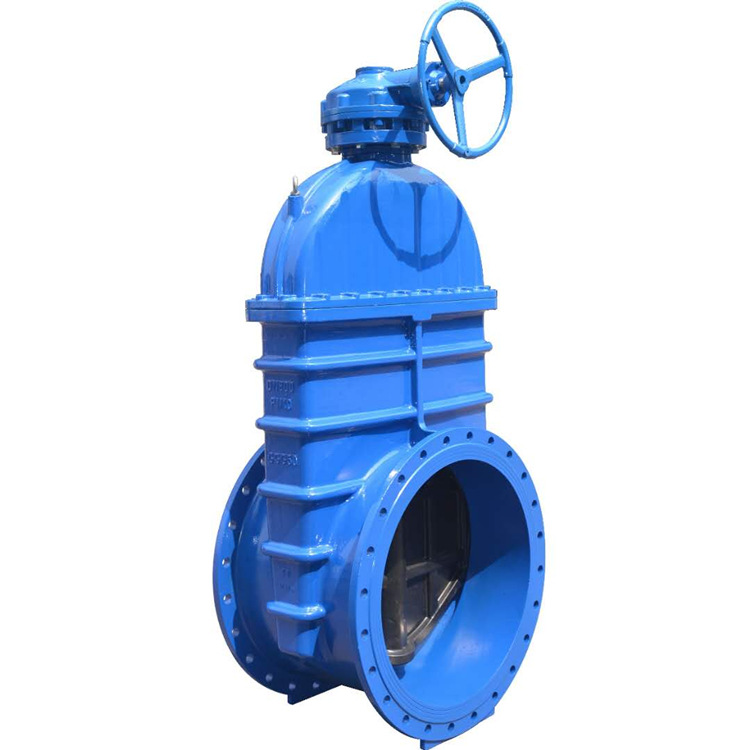 RVHXZ45X  暗杆法兰闸阀手动阀门 GGG50 PN16 DN500 大口径直销