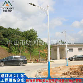 路灯厂供应6米路灯 加工批发各种规格高亮度40W道路照明LED道路灯