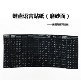 冰格;喂养餐具;狗狗食具