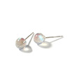 Earrings, crystal earings, silver 925 sample, Korean style, simple and elegant design, moonstone, gradient
