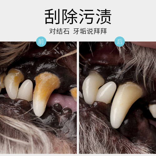 Factory direct sales pet teeth whitening pen, dog and cat supplies, tartar scraping and calculus cleaning tools, cat and dog tooth cleaning pen