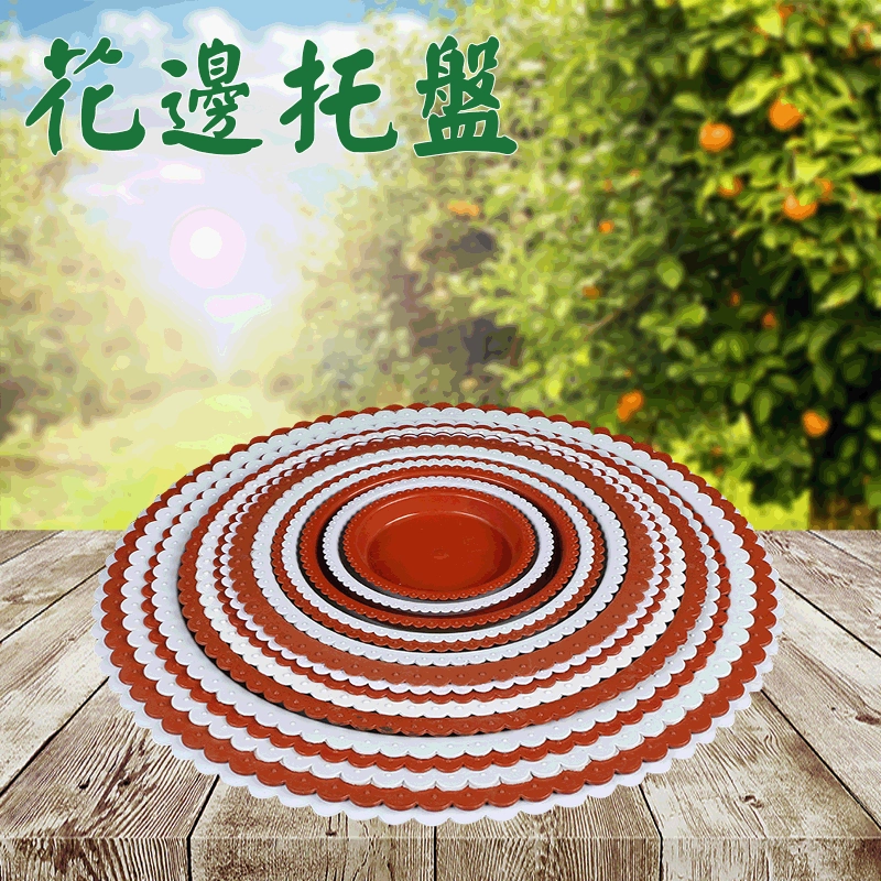 Прямые поставки от производителя: пластиковые поддоны для цветочных горшков, дренажные поддоны для роз и суккулентов, оптом.