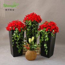 滨ˇ̈_Iꐷ溣Ļb滨辰l