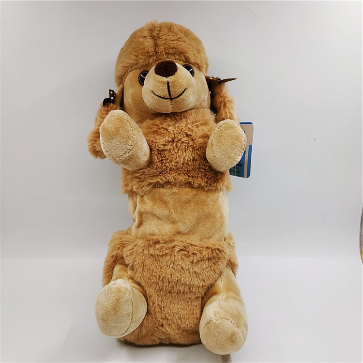 Nuevo caniche marrón