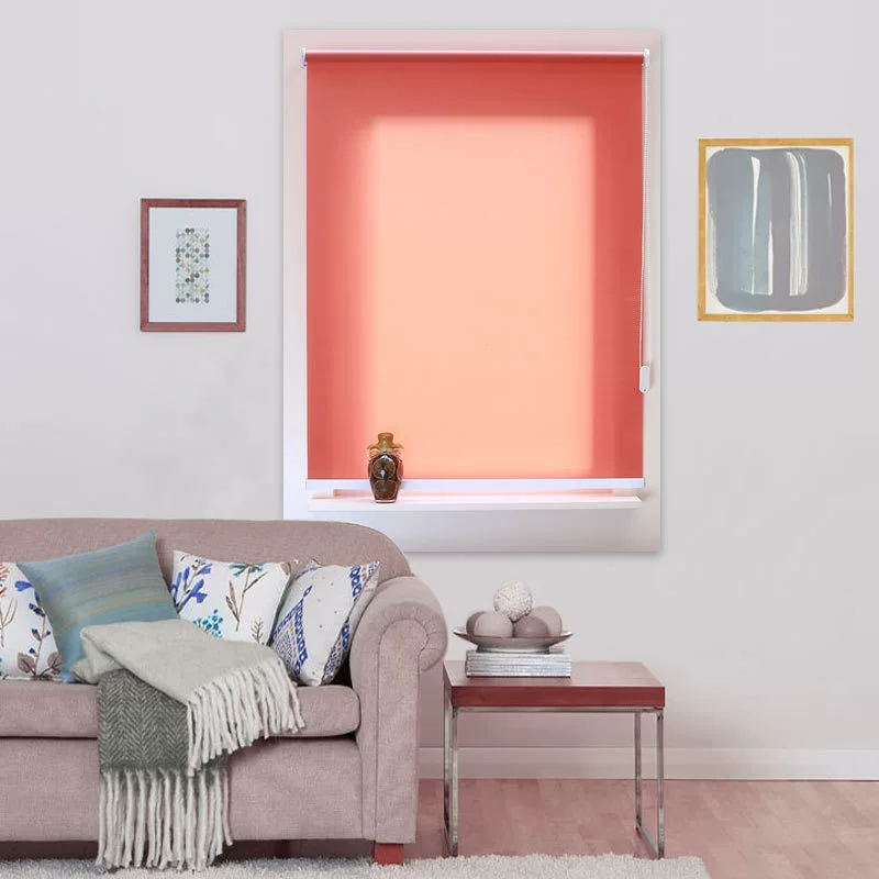 Supply La Zhu Rolling Trip 25 Light -transmitting Crowth Exit Rolling Drip Home Curtain