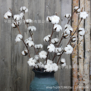 ��Ȼ�U�޻������ɻ����l�滨�Ҿ��b�Ʒ�[��diy�����Ĕz����