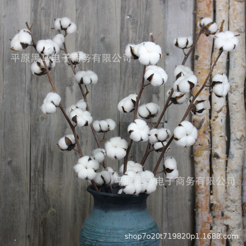 Natural Rod Cotton bouquet Dried Flowers Wholesale Real Flowers Home Decorations Ornaments diy Material Shooting Props