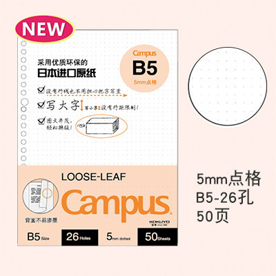 Dot Grid B5/50 de páginas