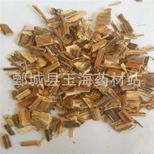 ͸�ǲ� �P��͸�ǲ� ��1000�ˣ� ��ș�����l���N��ș��