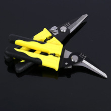 �FƤ����֦�����늹�����늹��������l