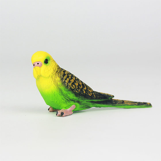 Cross-border simulation wild animal model bird parrot plastic solid children's toy science and education micro landscape ornaments