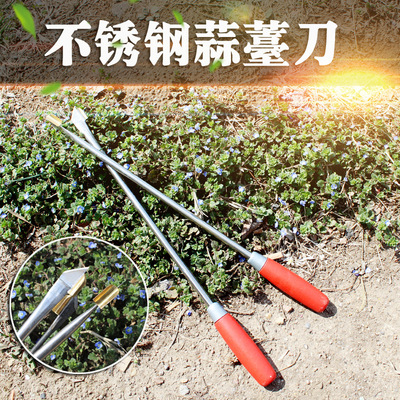 农用工具蒜苔收割蒜苔蒜薹刀蒜薹抽剥器不锈钢蒜苔刀剥蒜苔工具|ms