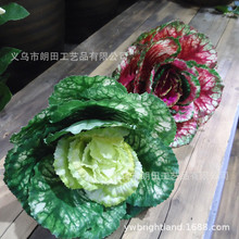 ����Gֲ���߰���Ҭ�˾�о�������b��辰ֲ��b[�ŷ���ٻ�