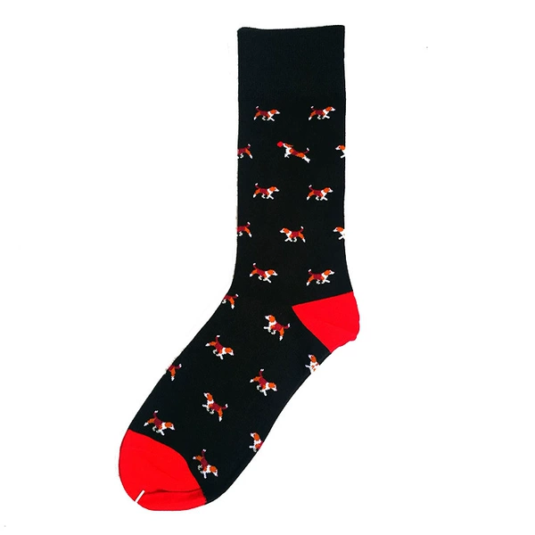 Jump Corgi Dog Black