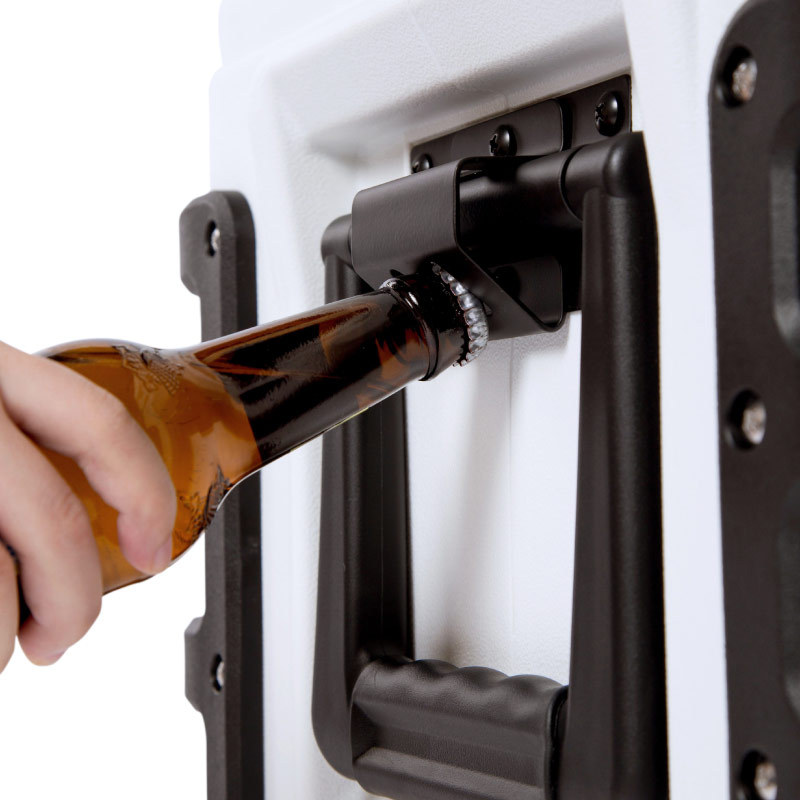 IceMaster mejorado 50L pesca profesional incubadora de Pesca de Mar entrega de coche