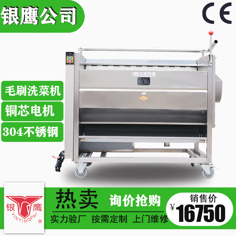 银鹰毛刷洗菜机CX系列土豆脱皮机藕萝卜根茎类清洗洗菜机