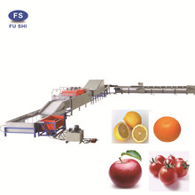 自产自销 全自动水果清洗打蜡分选机 番石榴选果机 质量保证