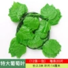 [特大20片(1条的价格)]